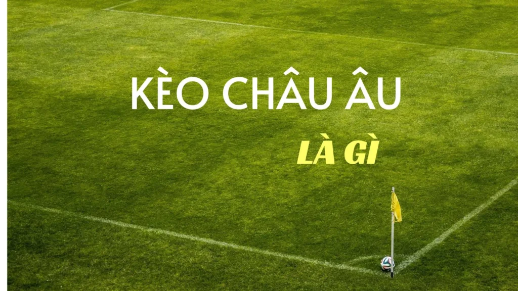 Kèo Châu Âu Tại NowGoal Giải Mã Các Chỉ Số Thắng Hòa Thua Chuyên Nghiệp