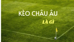 Kèo Châu Âu Tại NowGoal Giải Mã Các Chỉ Số Thắng Hòa Thua Chuyên Nghiệp